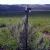 Boundary Marker