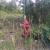 Fire Hydrant